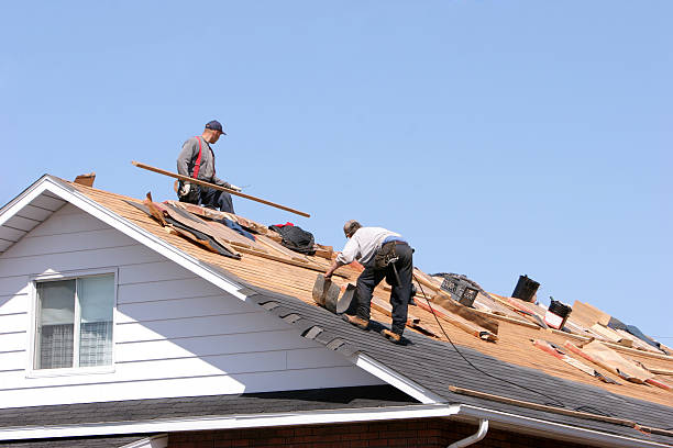 Best Roof Replacement  in Christopher, IL